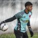 Técnico que levou Halls para o Vasco afirma que o goleiro está preparado para o clássico
