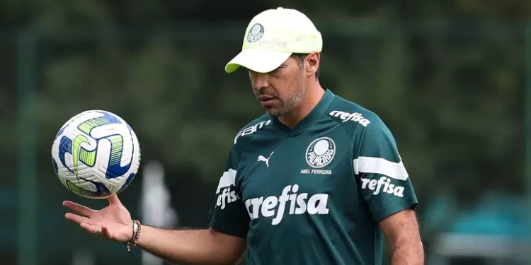 De olho no rival: confira como será a semana do Palmeiras, próximo adversário do Vasco