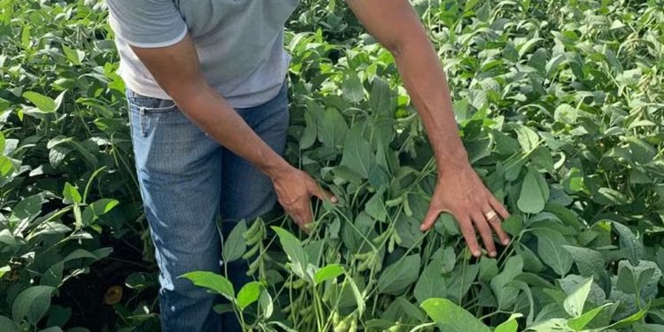 Deu alegria ao Vasco, fez gol de título e hoje vive uma vida totalmente diferente