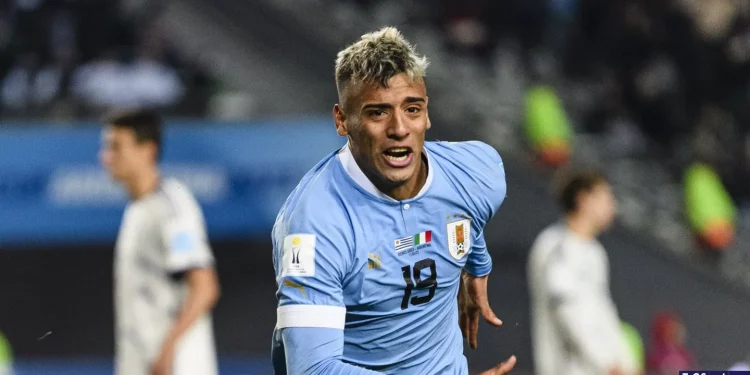 Jornalista diz que desistência do Vasco por Sforza é por conta de Lucho Rodríguez