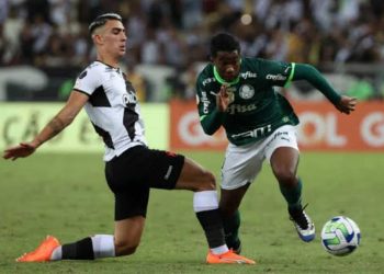 Partida entre Palmeiras x Vasco no Allianz terá capacidade reduzida
