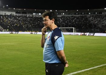 Fernando Diniz, técnico do Vasco