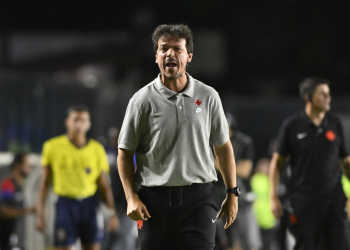 Fernando Diniz, técnico do Vasco