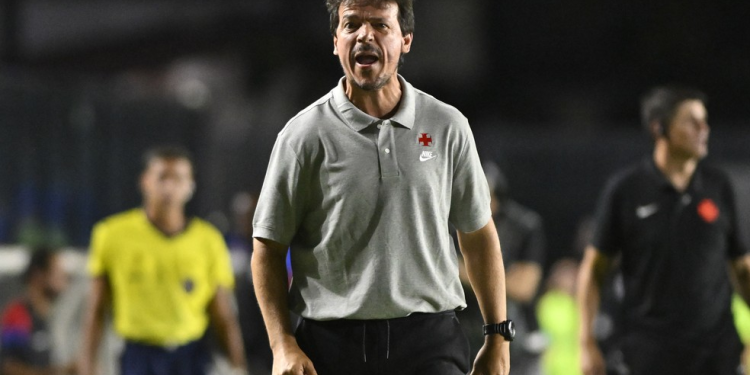 Fernando Diniz, técnico do Vasco