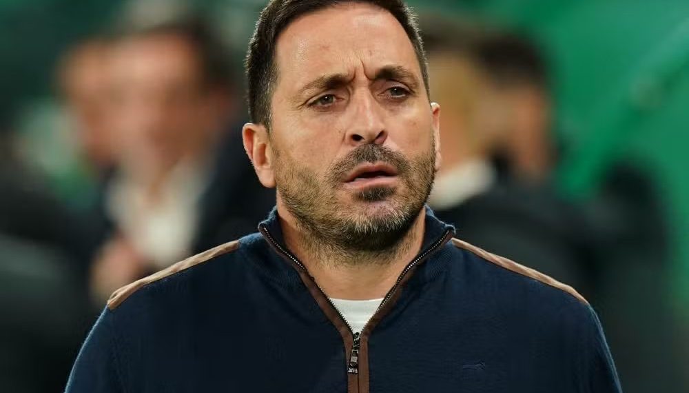 Vasco Matos